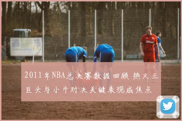 2011年NBA总决赛数据回顾 热火三巨头与小牛对决关键表现成焦点
