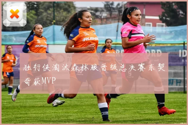 独行侠淘汰森林狼晋级总决赛东契奇获MVP