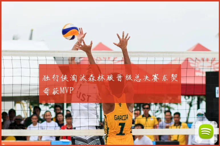 独行侠淘汰森林狼晋级总决赛东契奇获MVP