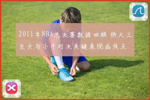2011年NBA总决赛数据回顾 热火三巨头与小牛对决关键表现成焦点