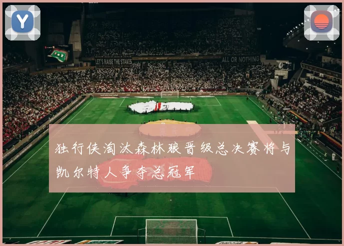 独行侠淘汰森林狼晋级总决赛将与凯尔特人争夺总冠军